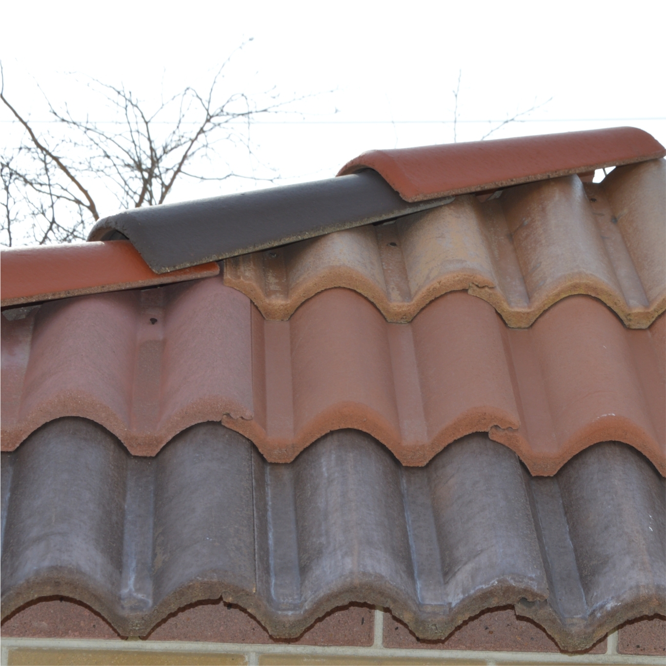 ЧЕРЕПИЦА ГЕЛЕНДЖИК ИНГУРИ ЧЕРЕПИЦА